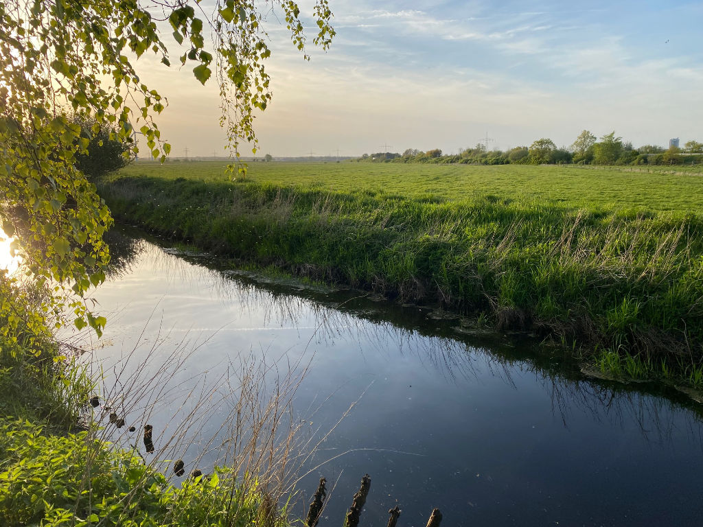 Impressionen Solarpark Hohenfelde